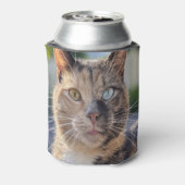 猫写真の追加カスタマイズ 缶クーラー (缶裏面)