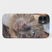 猫写真の追加カスタマイズ Case-Mate iPhoneケース (裏面(横))