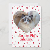 猫写真カスタムバレンタインデーのカード シーズンカード (正面)