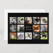 猫写真コラージュ ポストカード (正面/裏面)