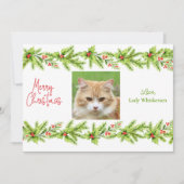 猫写真テンプレートホリデーペットクリスマスカード シーズンカード (正面)