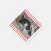 猫写真ピンク スタンダードカクテルナプキン (角)