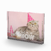 猫写真ブロック |ニャーに行って フォトブロック (右)