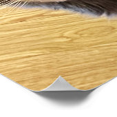 猫写真ポスター ポスター (角)