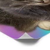 猫写真ポスター ポスター (角)
