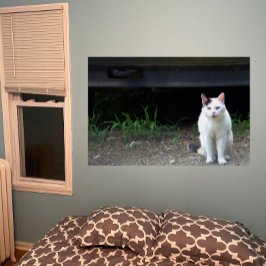 猫写真ポスター ポスター