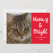 猫写真ミョイと明るいクリスマス シーズンカード (正面)