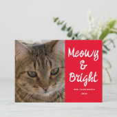 猫写真ミョイと明るいクリスマス シーズンカード (スタンド正面)