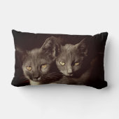 猫写真ランバーピロー33cm x 53cm ランバークッション (裏面)