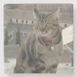 猫写真大理石コースター ストーンコースター