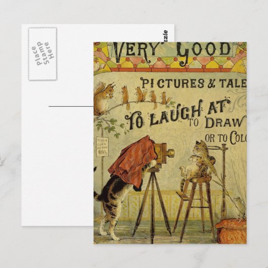 猫写真家 ポストカード (正面/裏面)