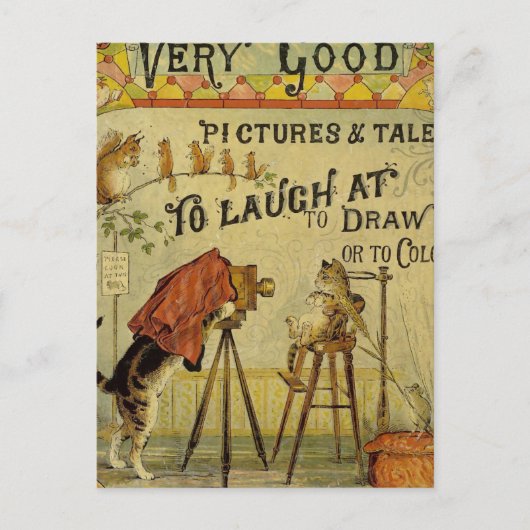 猫写真家 ポストカード (正面)