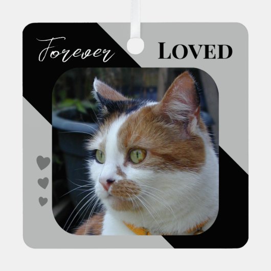 猫写真悔やみや弔慰記念ペットメモリアルブラック メタルオーナメント (正面)