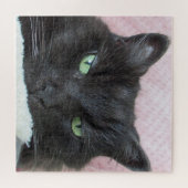 猫写真 ジグソーパズル (横)
