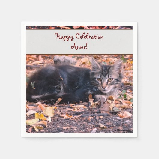 猫写真 スタンダードカクテルナプキン (正面)