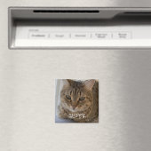 猫写真 マグネット (インサイチュ (食洗機))