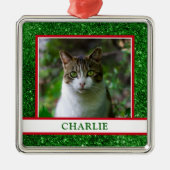 猫写真 メタルオーナメント (正面)