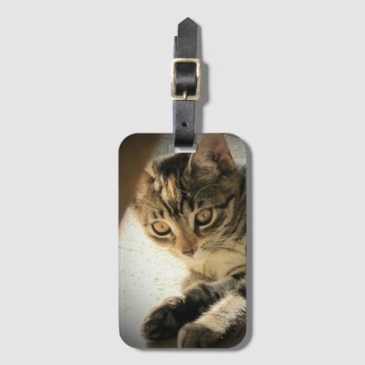 猫写真 ラゲッジタグ (正面縦)