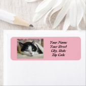 猫写真 ラベル (インサイチュ)