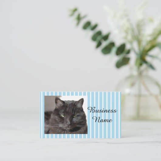 猫写真 名刺 (スタンド正面)