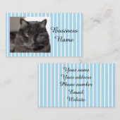 猫写真 名刺 (正面/裏面)