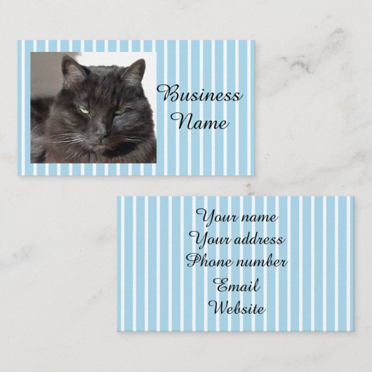 猫写真 名刺 (正面/裏面)