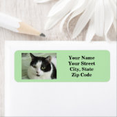 猫写真（緑） ラベル (インサイチュ)