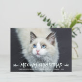 猫写真 | Meowyクリスマス シーズンカード (スタンド正面)