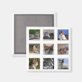 猫冷凍機マグネット マグネット (正面/裏面)