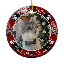 猫初めてのクリスマス赤い黒い格子模様