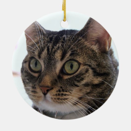 猫初めてのクリスマス2-Photo GreenとBlack Plaid セラミックオーナメント (裏面)