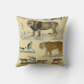 猫動物 クッション (裏面)