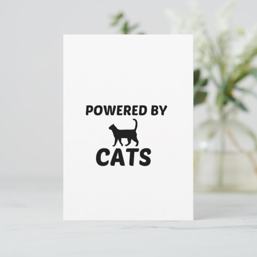 猫勢 サンキューカード (スタンド正面)