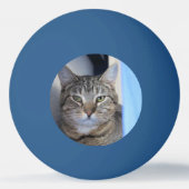 猫卓球 卓球ボール (裏面)