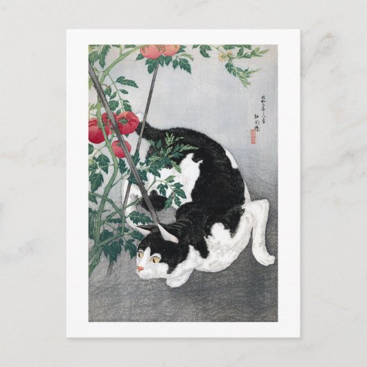 猫及びトマト高橋松亭 ポストカード (正面)