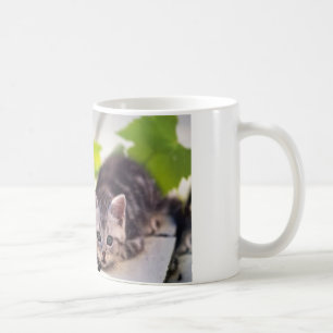 猫及びバニーの親友のマグ コーヒーマグカップ