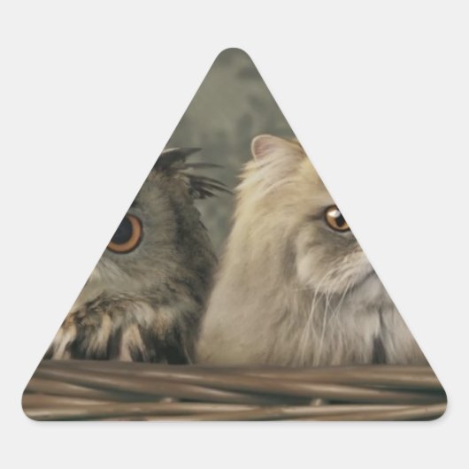 猫及びフクロウの篭 三角形シール (正面)