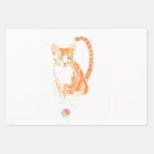 猫及び玩具用ボール ラッピングペーパーシート (正面2)