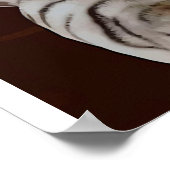 猫反射水おもしろい猫ギフトアイディア ポスター (角)