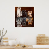 猫反射水おもしろい猫ギフトアイディア ポスター (キッチン)