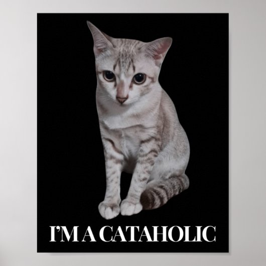 猫可愛い猫ファッション ポスター (正面)