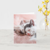 猫可愛がり – アニバーサリー カード (黄色い花)