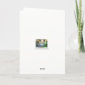 猫同情カード、エンジェル子猫、猫の損失 カード (裏面)