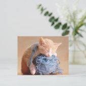 猫大切と猫の写真、ギフトカスタマイズ! ポストカード (スタンド正面)