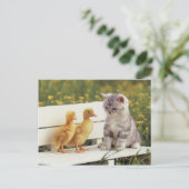 猫大切、子猫のカード、ギフトカスタマイズ! ポストカード (スタンド正面)