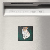 猫失った磁石 マグネット (インサイチュ (食洗機))