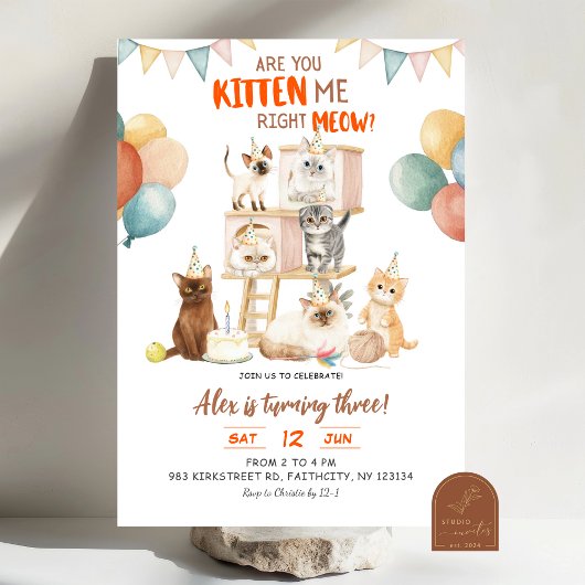 猫好きさんへ 子猫だなんてまったく！何歳の誕生日にも 招待状