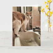 猫好きのおもしろいな誕生日 カード (黄色い花)