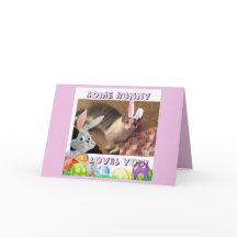 猫好きのためのハッピーイースター