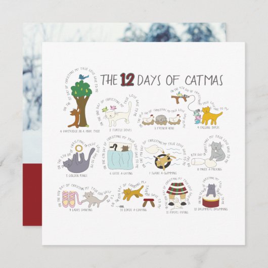 猫好きのためのユモアあふれるホリデー写真カード シーズンカード (正面/裏面)